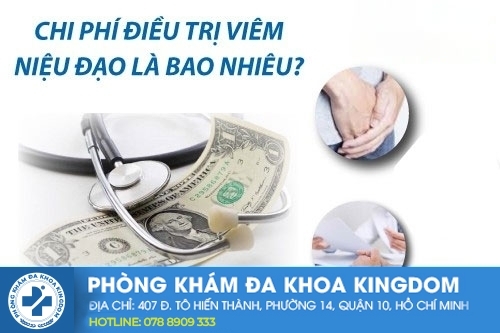 chua-tri-viem-nieu-dao-co-dat-khong
